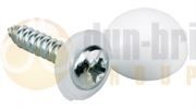 DBG 4.2 x 19mm Dome Cap PZ Screw Number Plate Fixing - White - Pack of 100 - 1027.5315/100
