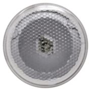 DBG 135mm Reverse Lamp | Cable Entry | 12/24V [300.083]